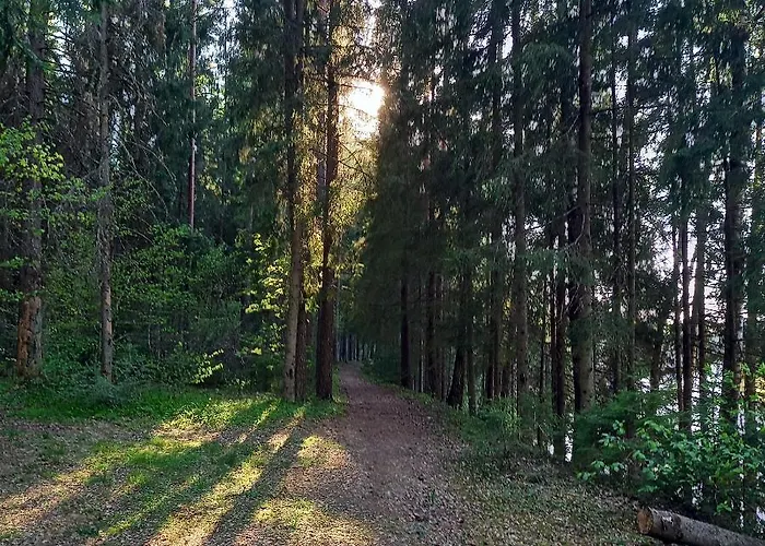 Ozolu Gatve 2- No Cesim 7 Km
