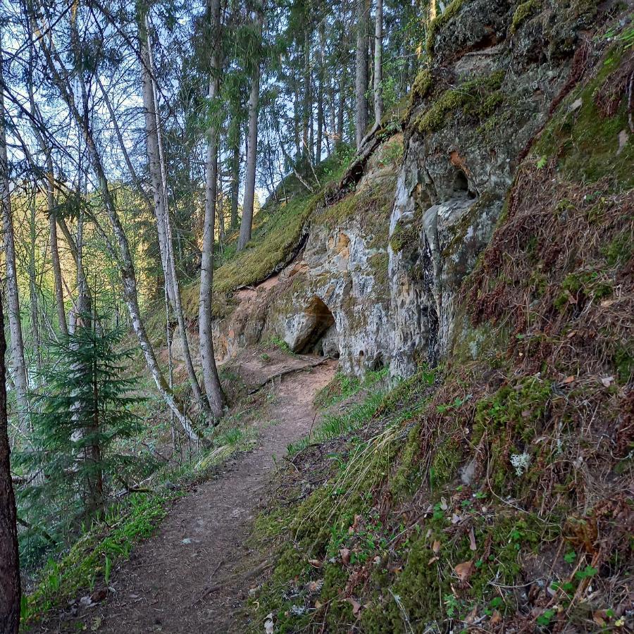Butas Ozolu Gatve 2- No Cesim 7 Km *