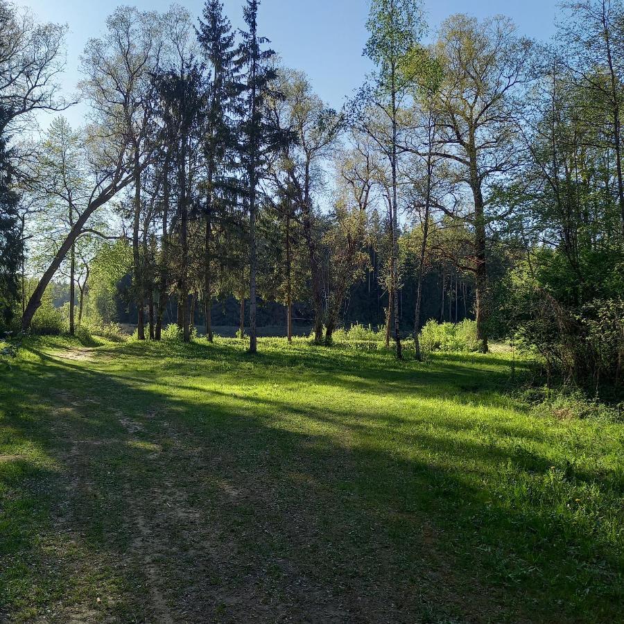 Ozolu Gatve 2- No Cesim 7 Km Apartment Janmuiza